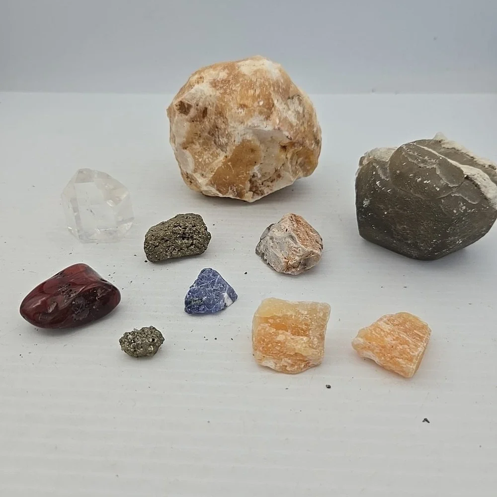 Unique Rock / Fossil Lot‎ Of 10